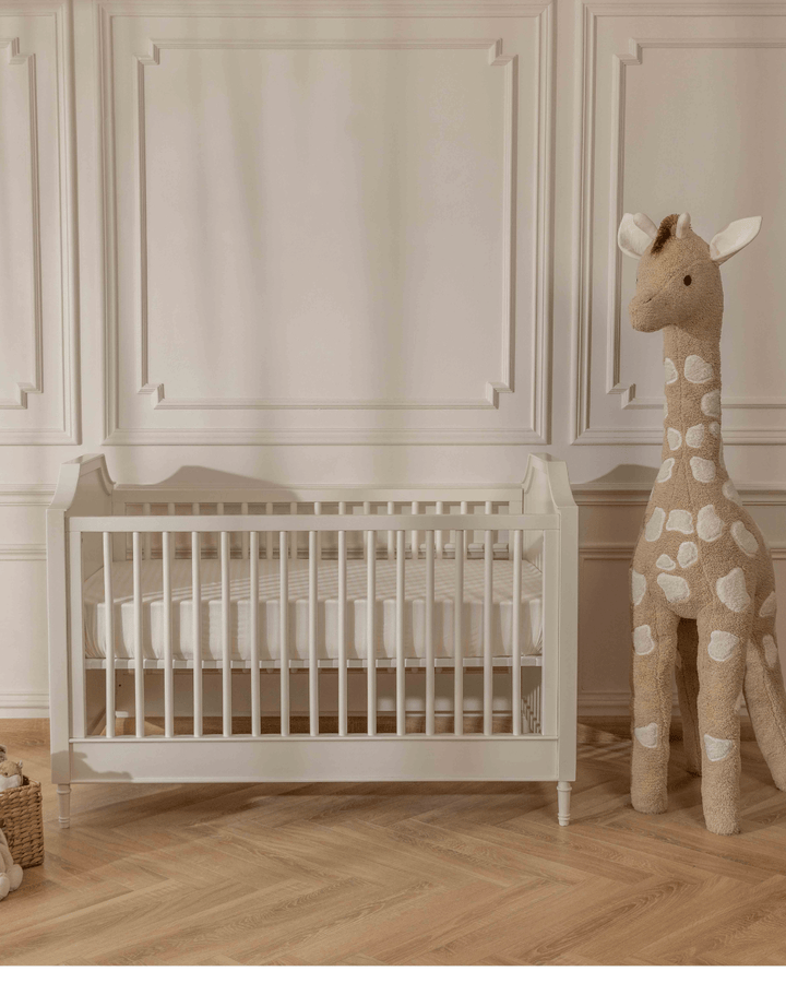 Baby Jalebi Atlas the Giraffe