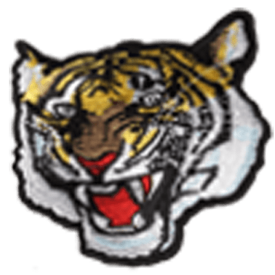 Tiger Face Patch